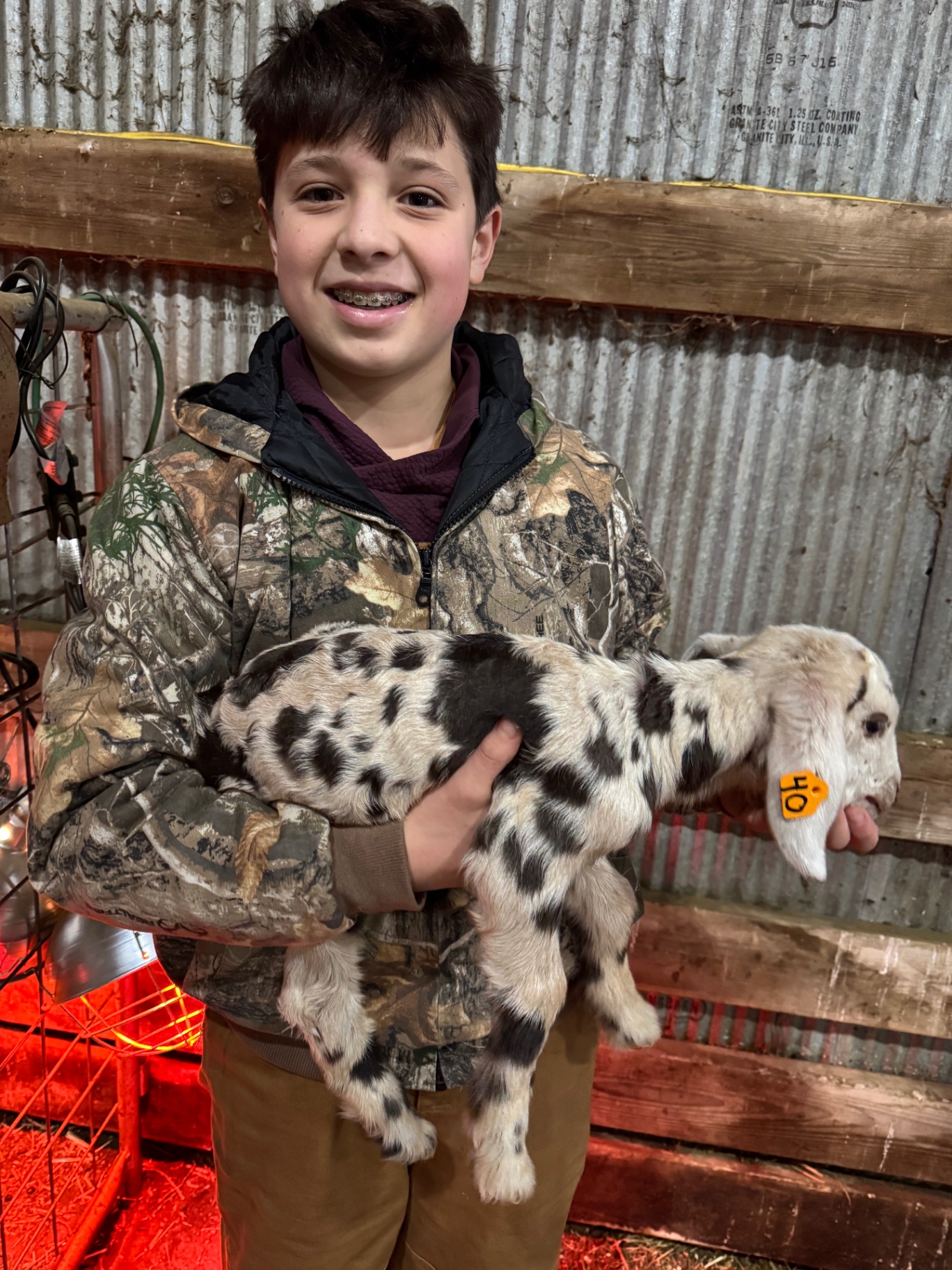 A spotted kid, freshly tagged