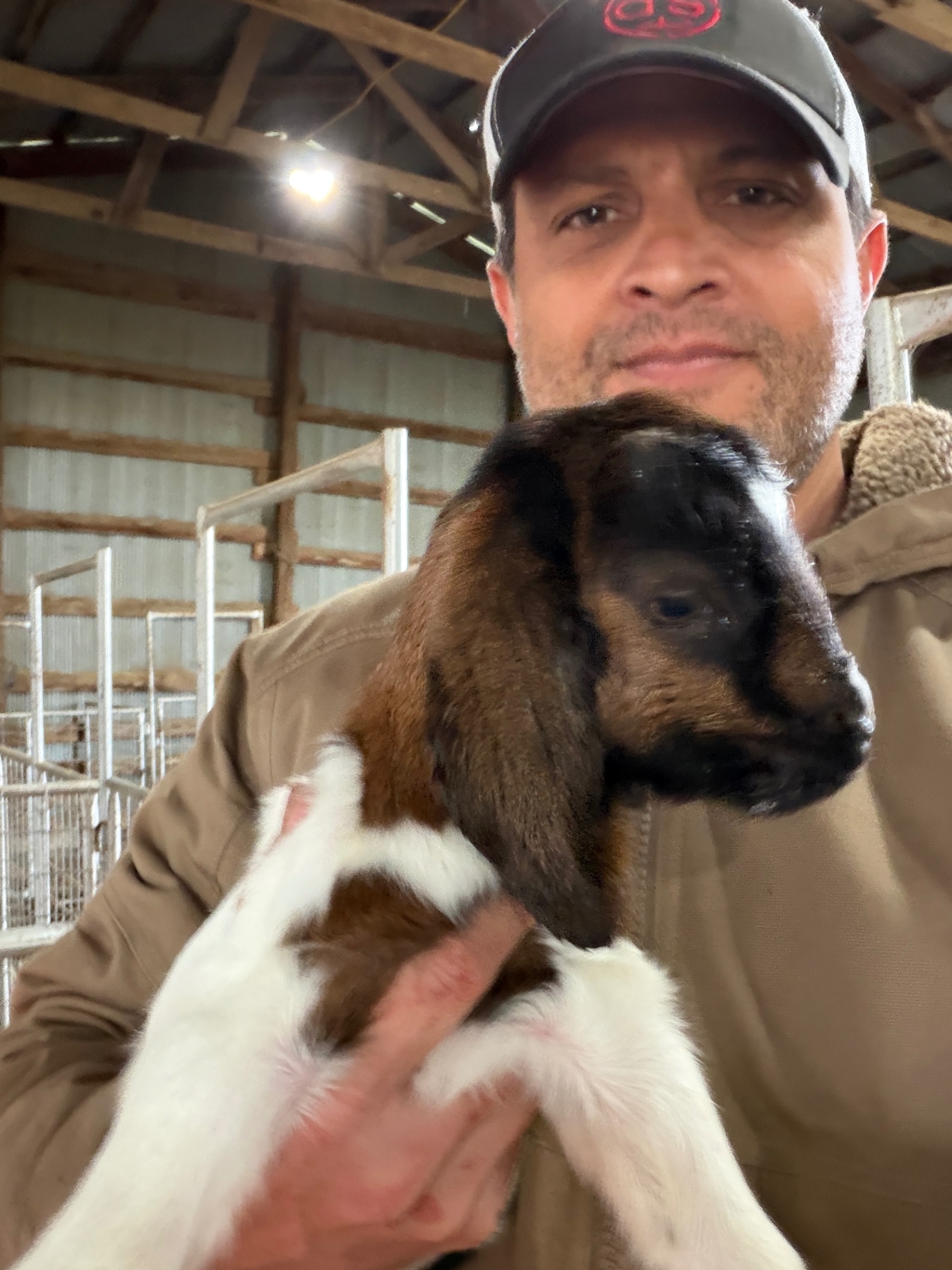 Holding a new baby goat