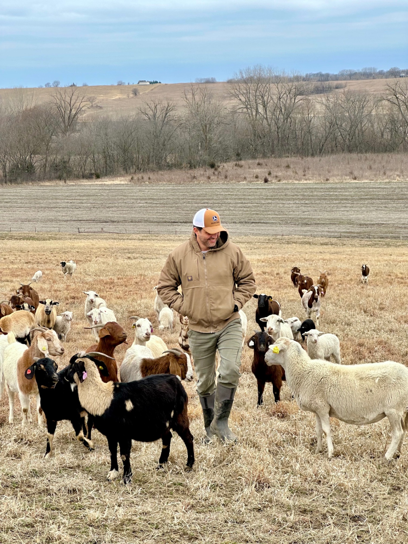 Out with the flock on a winter afternoon