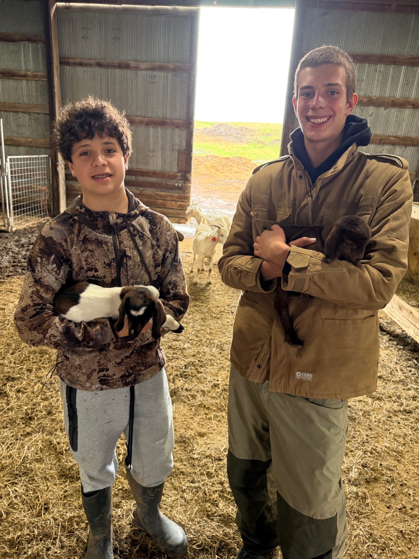 The boys holding baby goats in the barn
