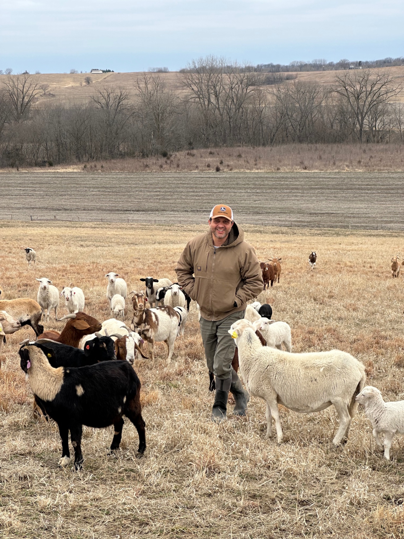 In the pasture with the herd